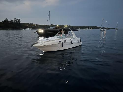 sea ray Sundancer 275