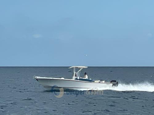Mako marine mako 251