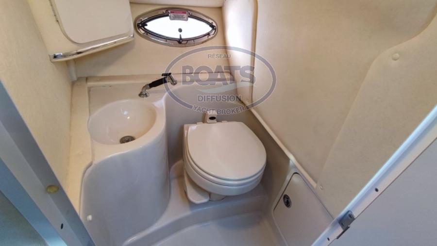 sea ray Sea ray 290 sun sport