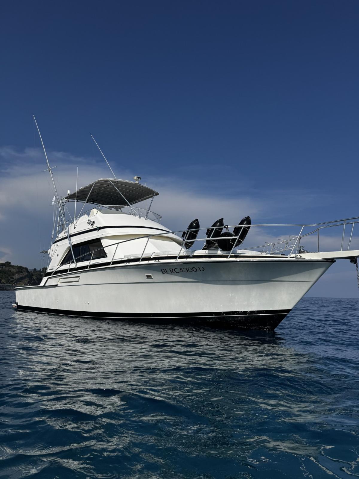 bertram yacht 43' convertible
