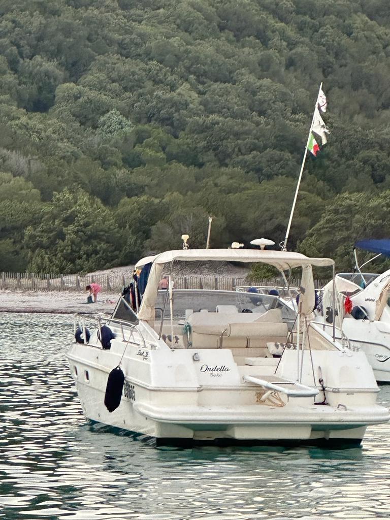 fiart mare Fiart 32 genius