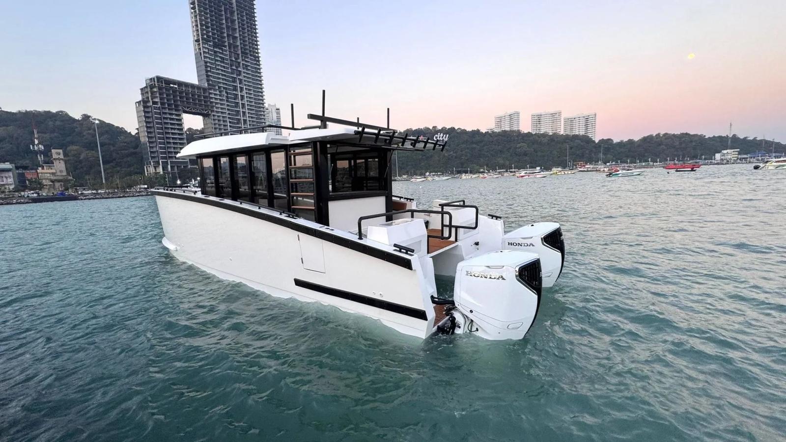 dutch craft Dc40 cat