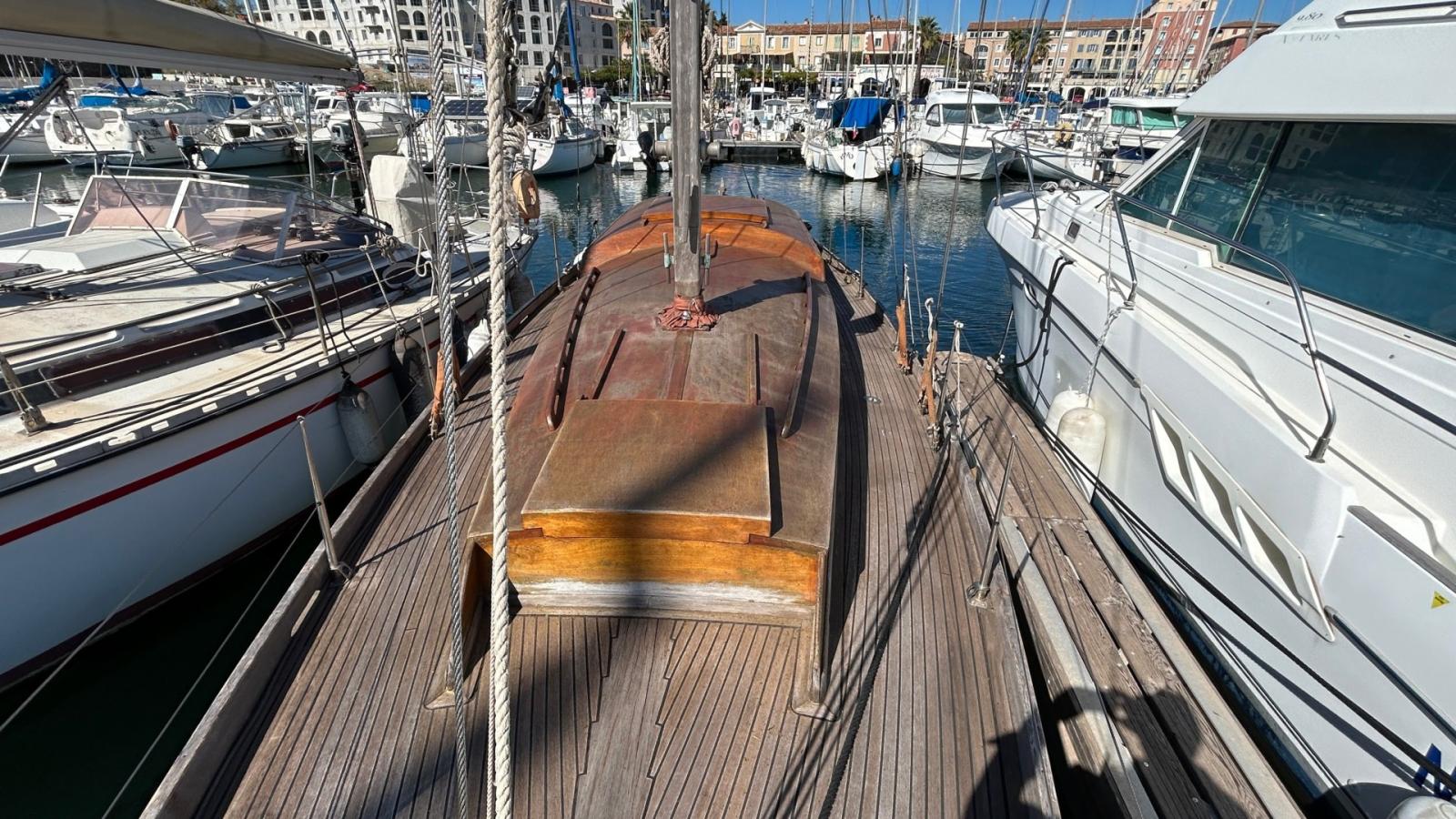 norvegien silvestro Yseult