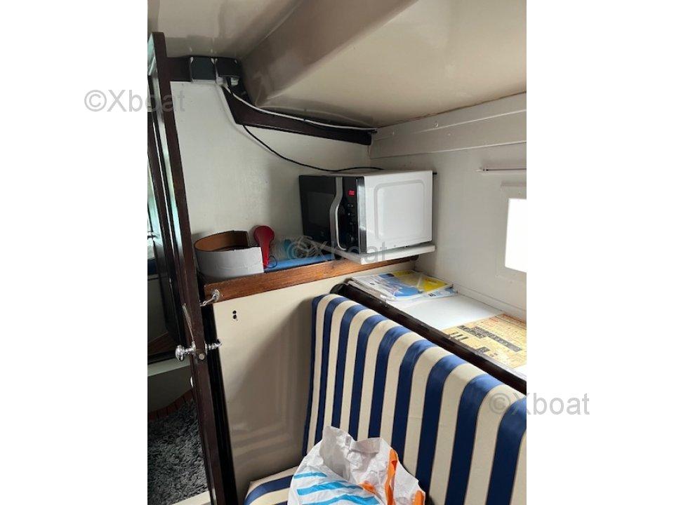 playvisa Coronado 35 cc