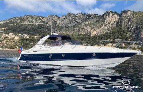 Cranchi endurance 41