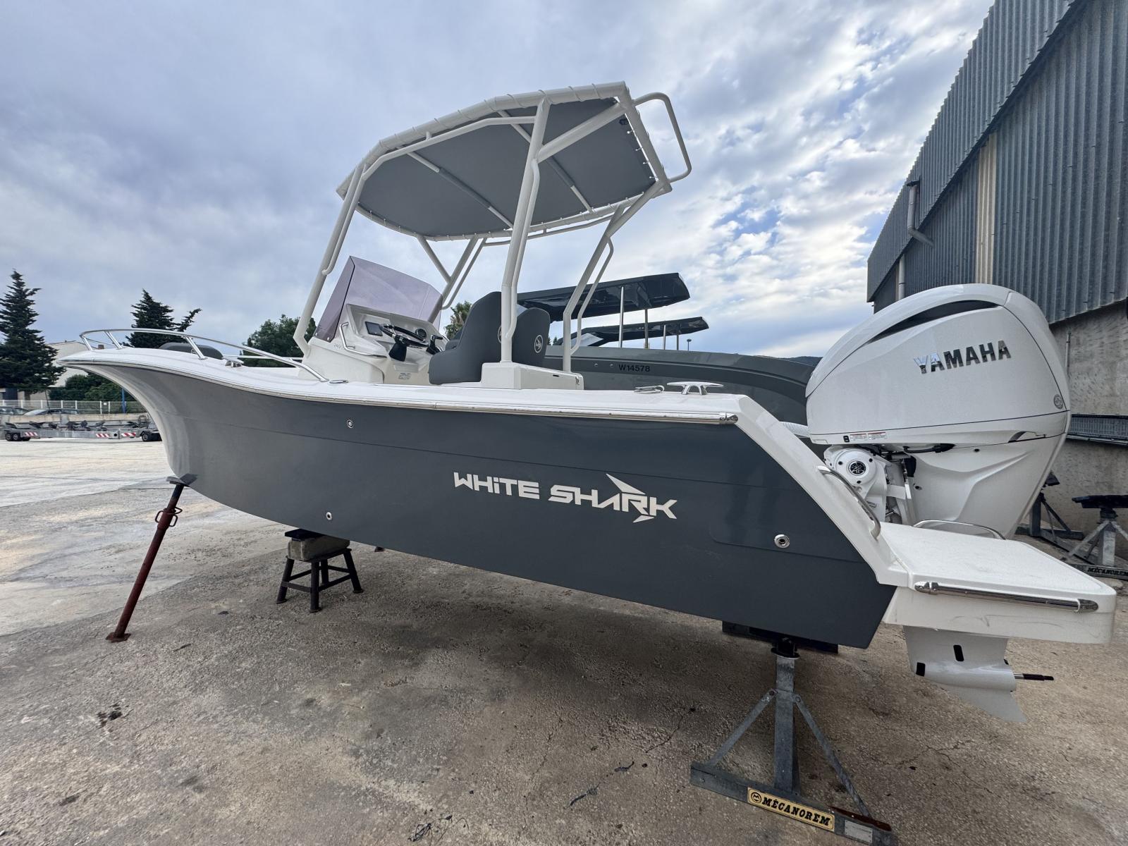 white shark 240 cc evo