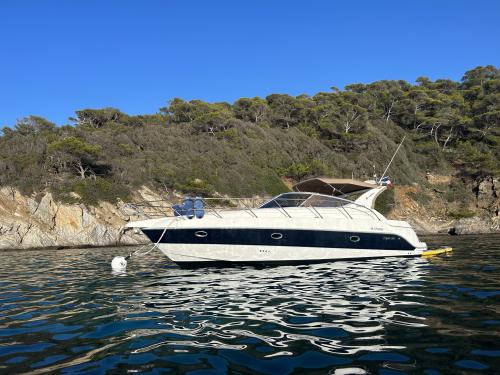 sessa marine Sessa marine oyster 35