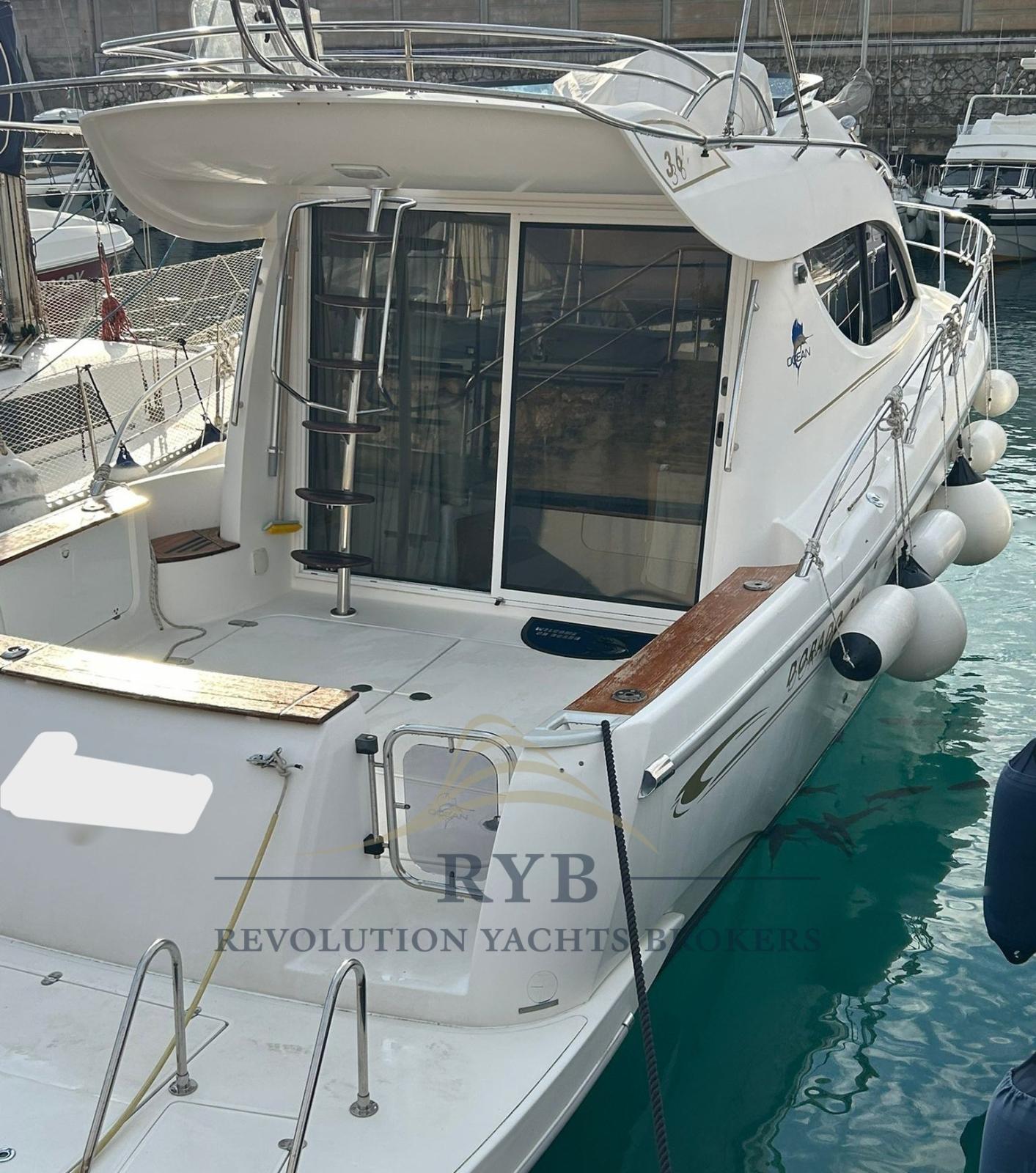 sessa marine Dorado 36