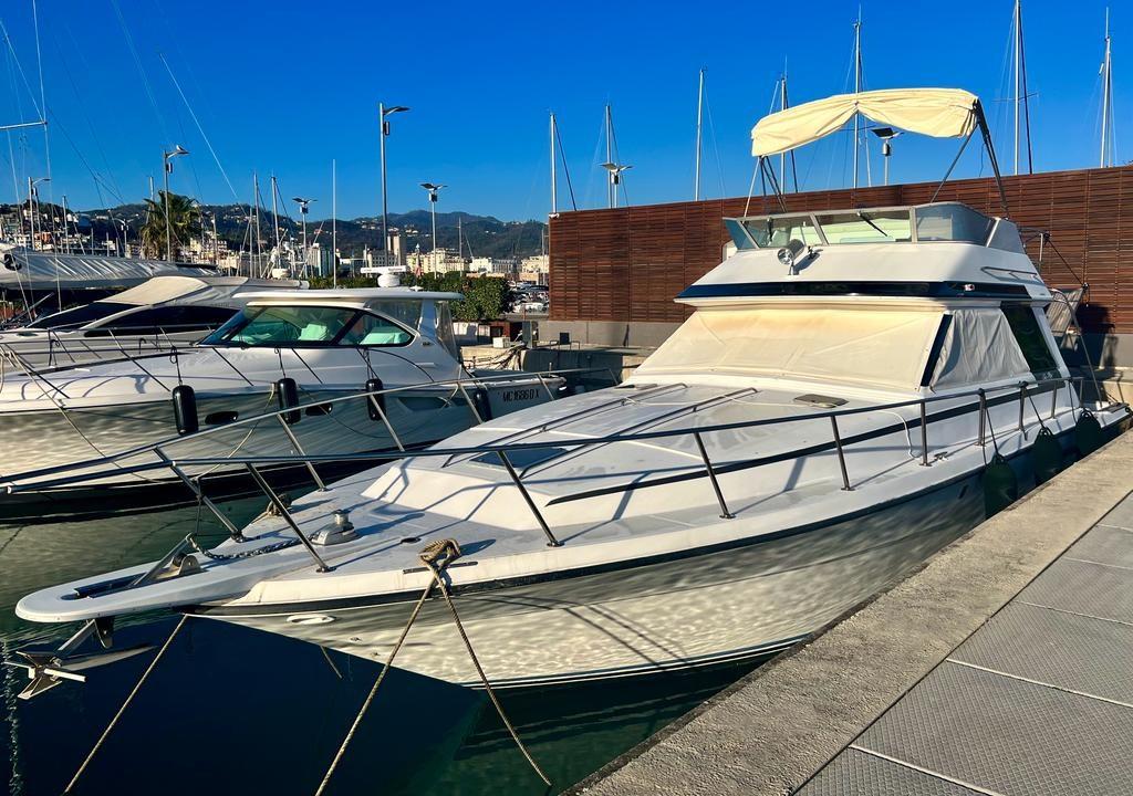 sea ray 430 convertible