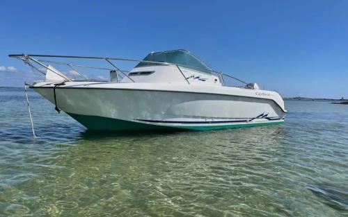 B2 marine cap ferret 650