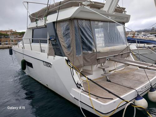 Sealine f 42