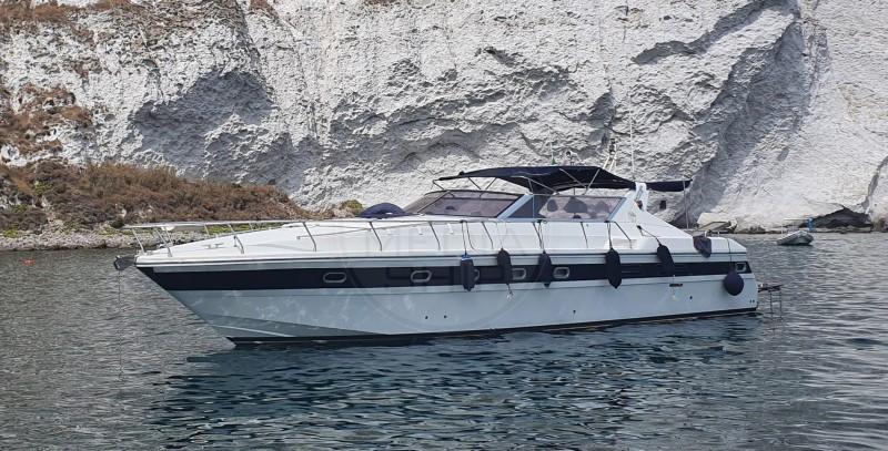 giorgi 46