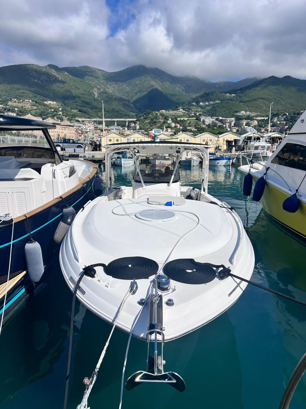 wellcraft marine Scarab 35 sport cuddy