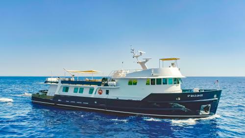 Halter marine 33