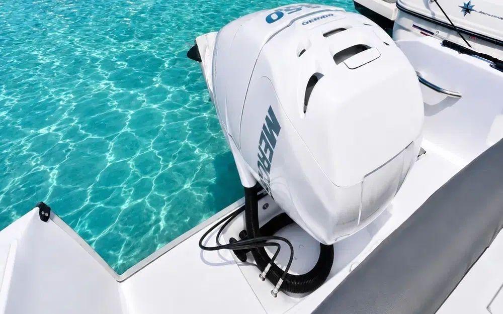 white shark White shark 226