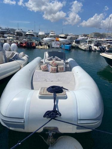 Doviboat 10 m