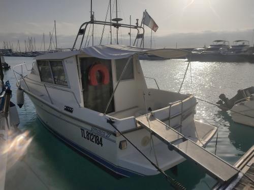 gibert marine Jamaica 27