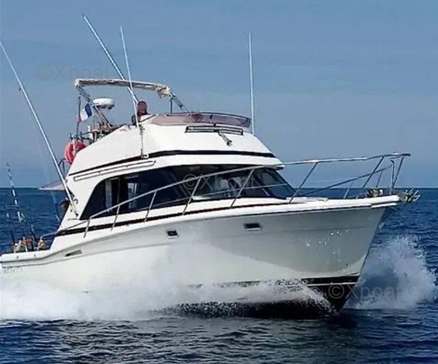 riviera Riviera 33 flybridge