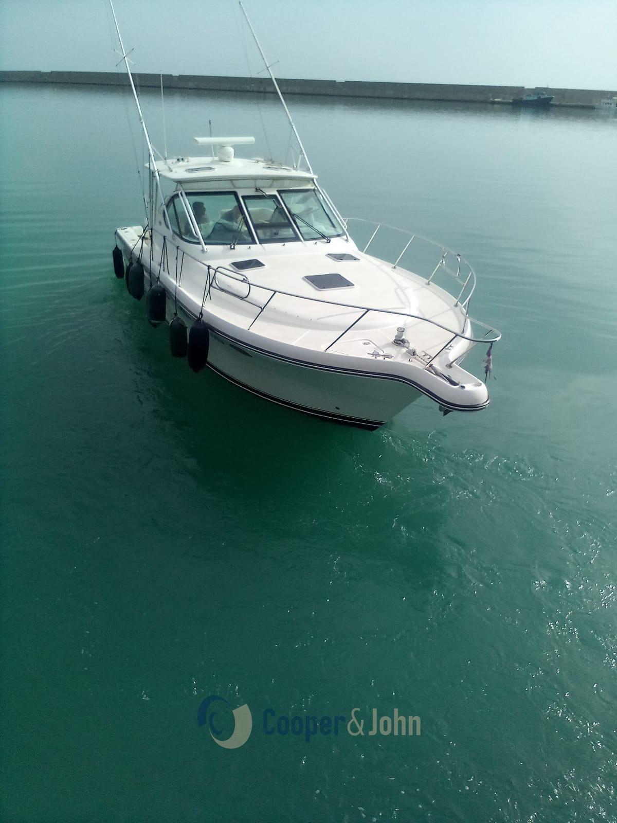 tiara yachts 3600 open