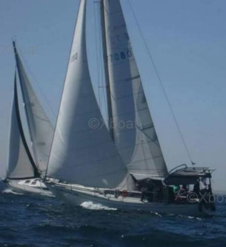 Rogers contessa 35