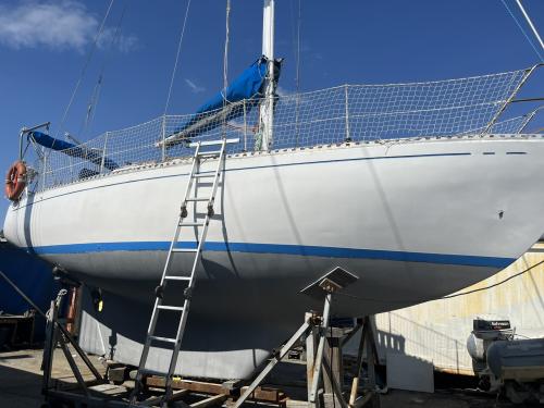 Mako sailer new ranger