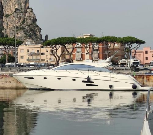 Sogica openbridge 55 sport