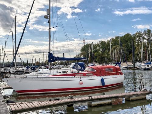 contessa 35
