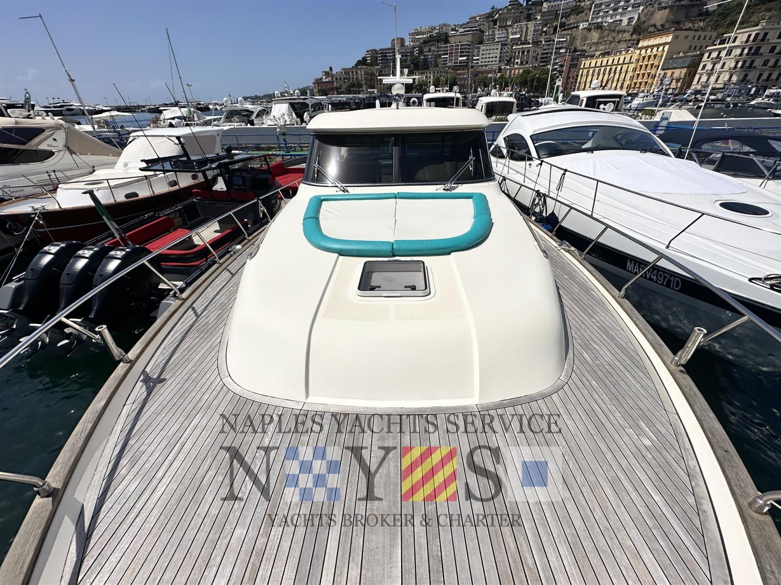 Mochi Dolphin 51
