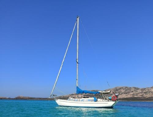 Arne arksunds amigo 33