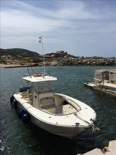 Scout boats 282 xsf