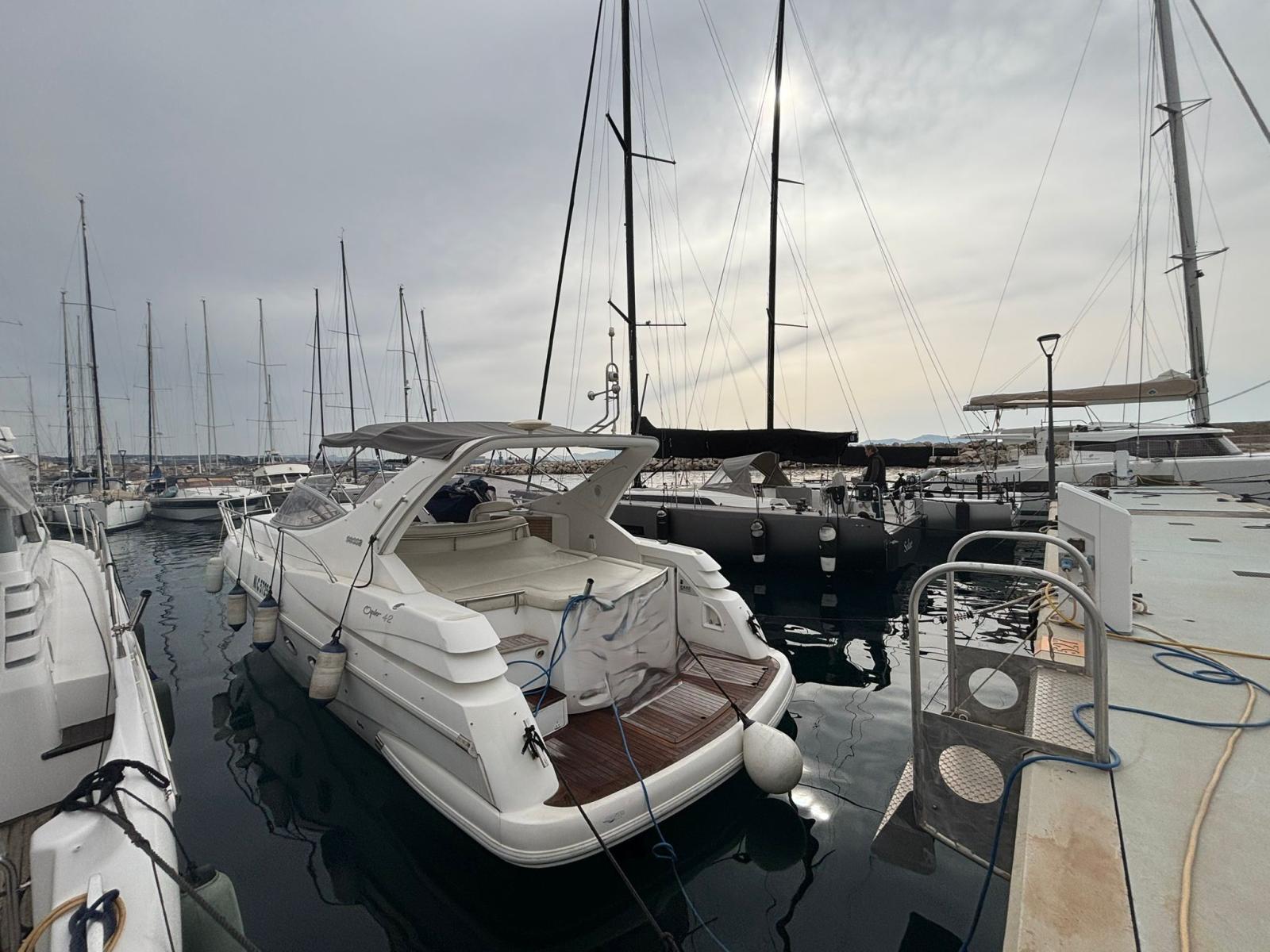 sessa Sessa marine oyster 42
