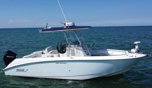 Boston whaler 240 outrage