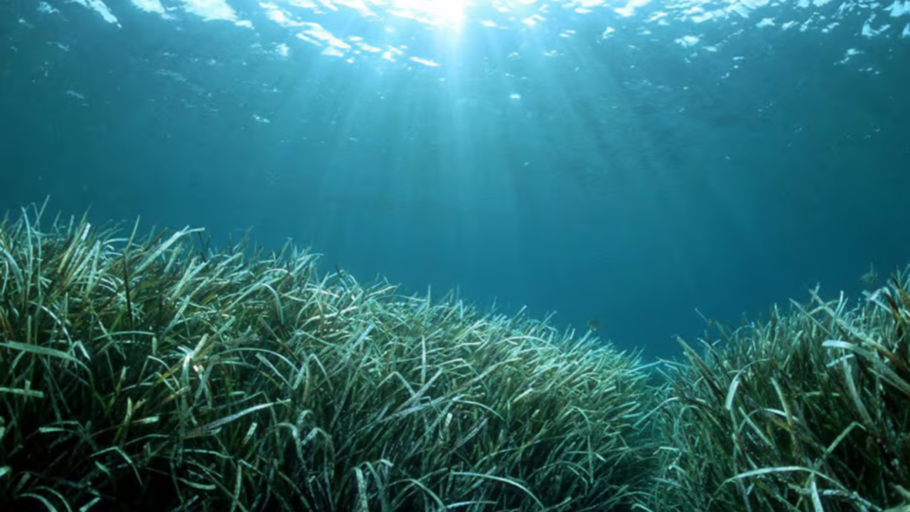 Navigazione sostenibile in mare