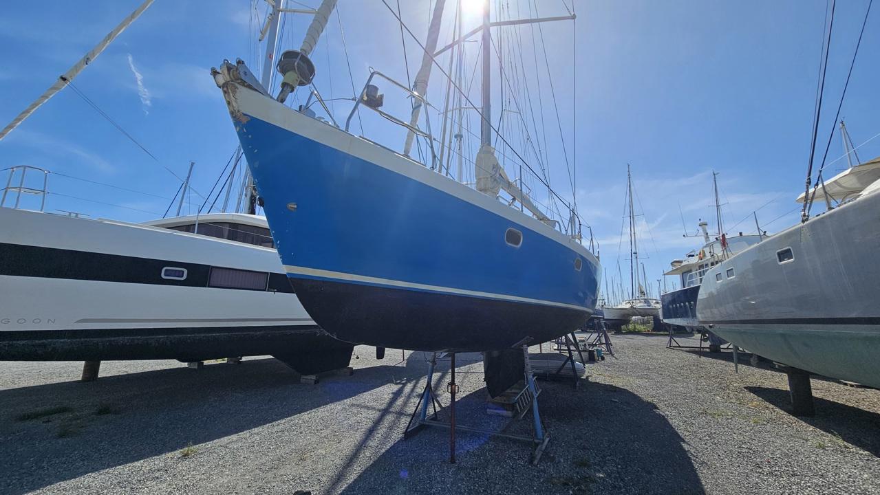 jfa Petrel 42