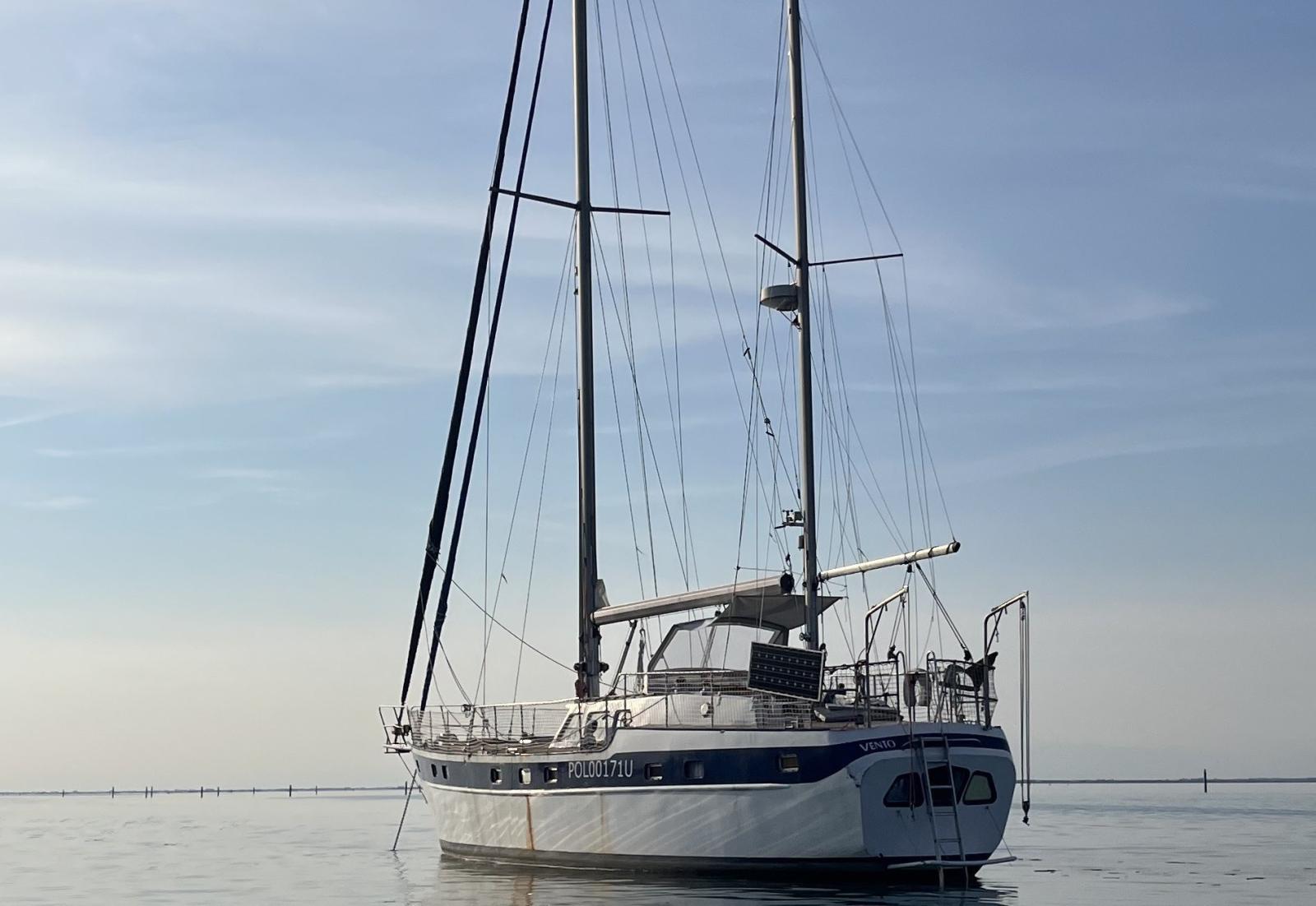 Motiva 50