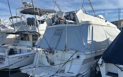 Astondoa astondoa 44 fly