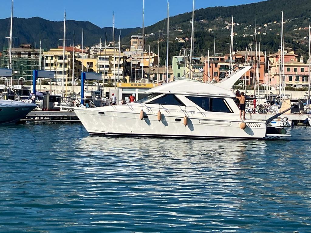bayliner 3988 eh motoryacht