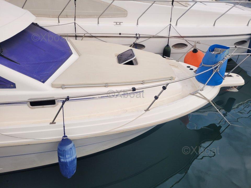 rodman Rodman 900 fly