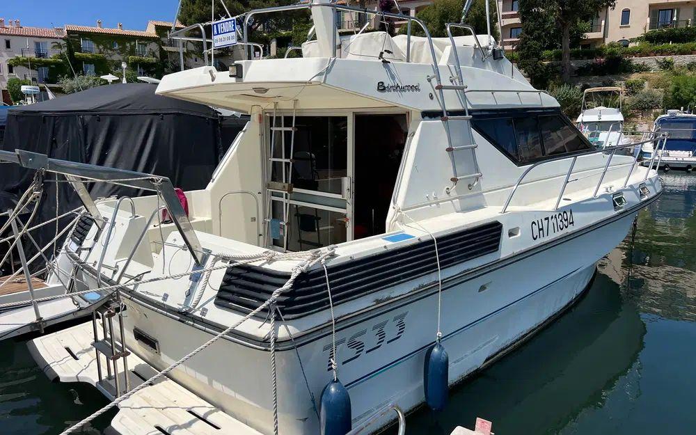 birchwood Birchwood 33