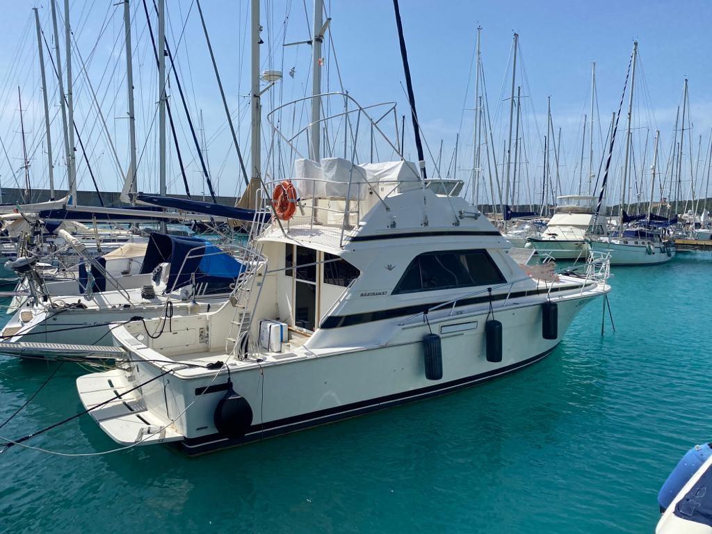 bertram yacht 37' convertible