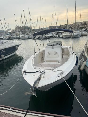 Boston whaler 240 outrage