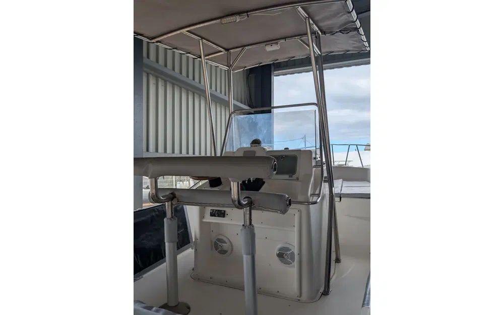 white shark White shark 225