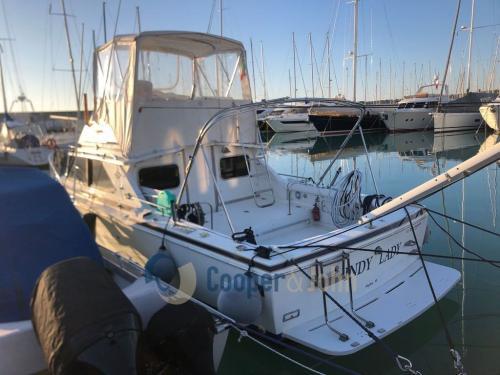 Bertram yacht 28' fbc