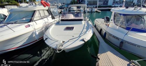 pacific craft Pacific craft 730 sc