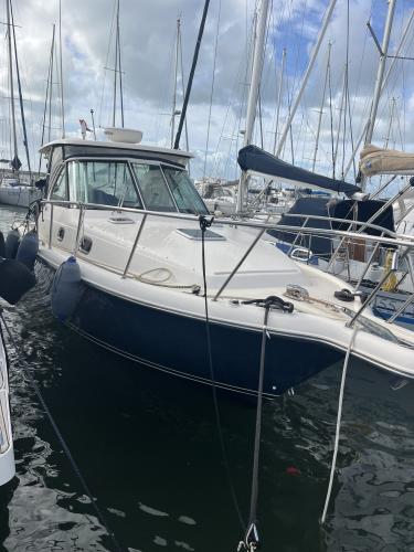 Pursuit os 335 offshore