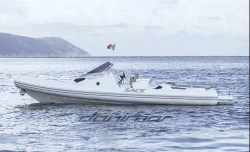 Sacs strider 11