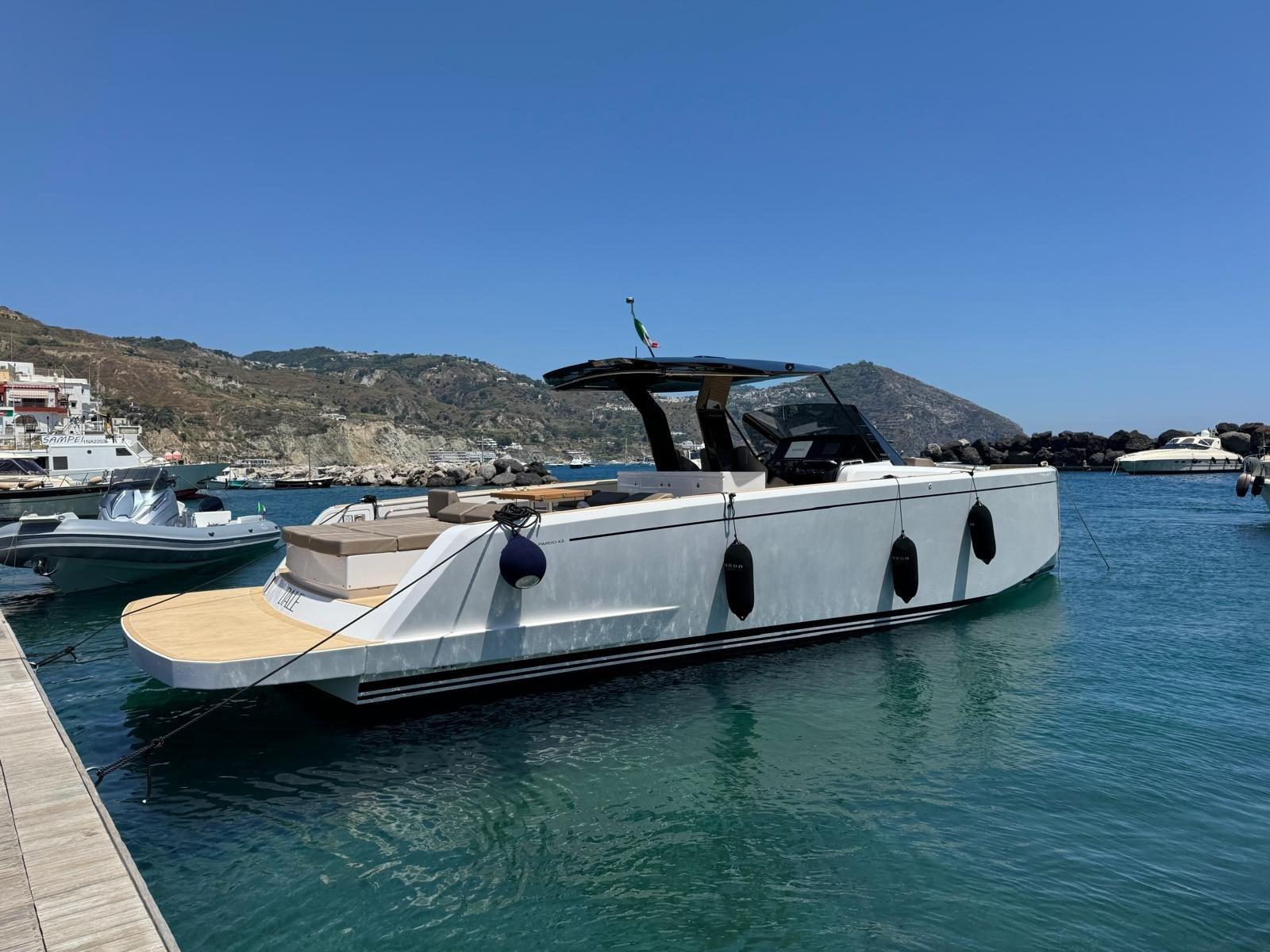 pardo 43