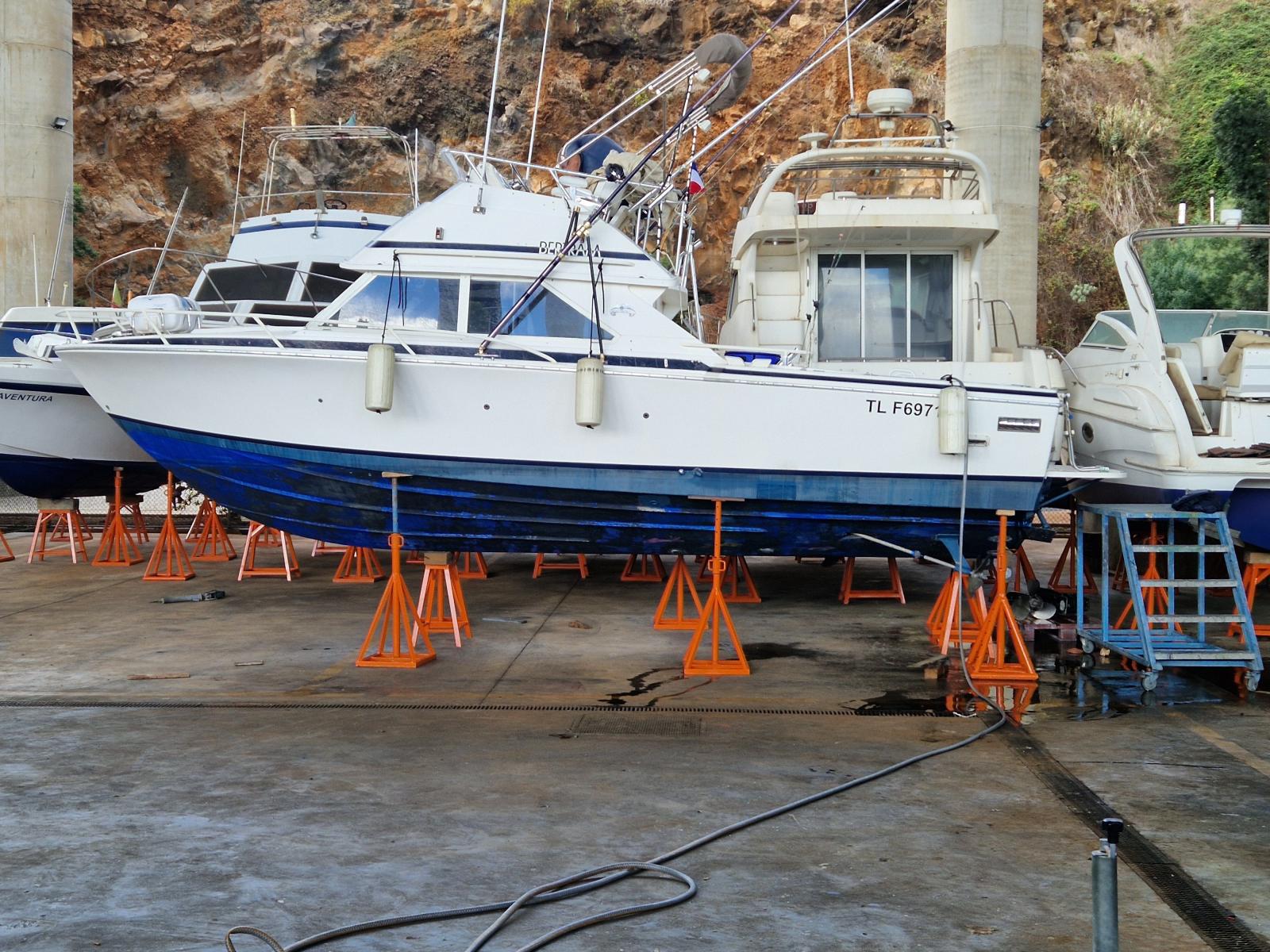 bertram 28