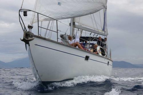 Bruce roberts yacht design classic 45