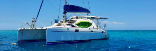 Leopard leopard 40